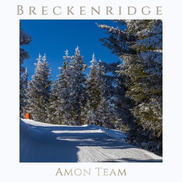 Breckenridge Co Sotheby's International Realty