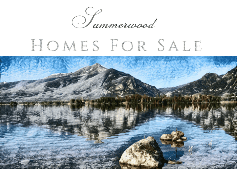 Summerwood Lake Dillon Homes For Sale Real Estate Listings