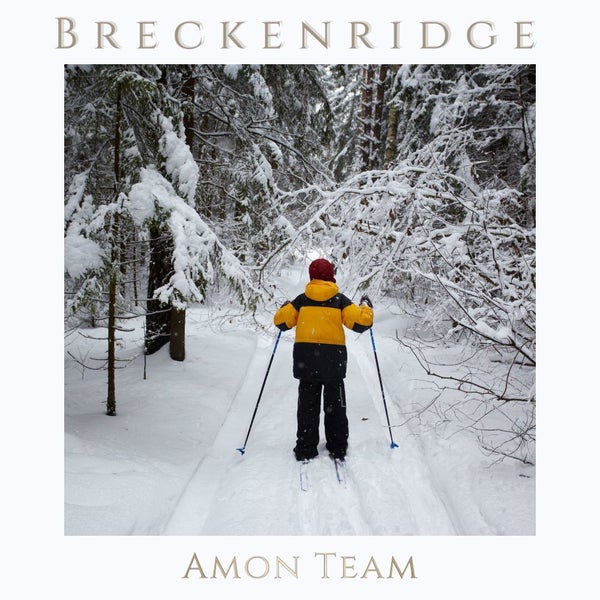 Breckenridge Co Ski Homes For Sale