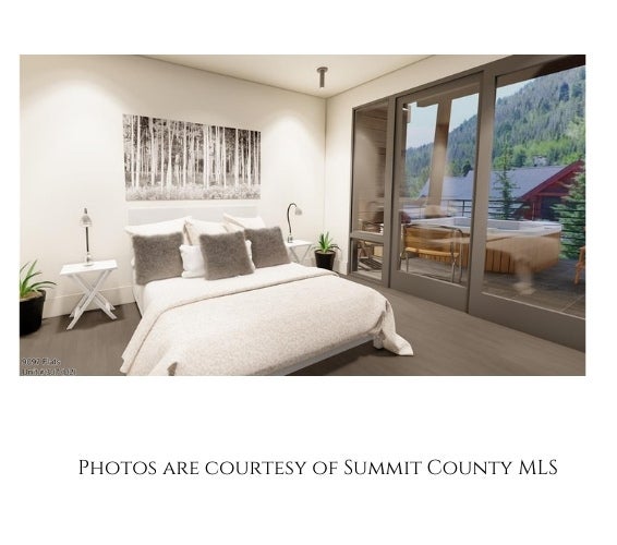 Frisco Colorado 9097 Real Estate