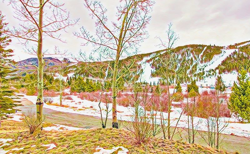 Real Estate for Sale in Keystone Colorado