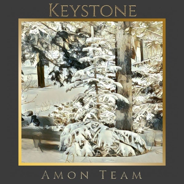 Keystone Homes For Sale Keystone Colorado Real Estate