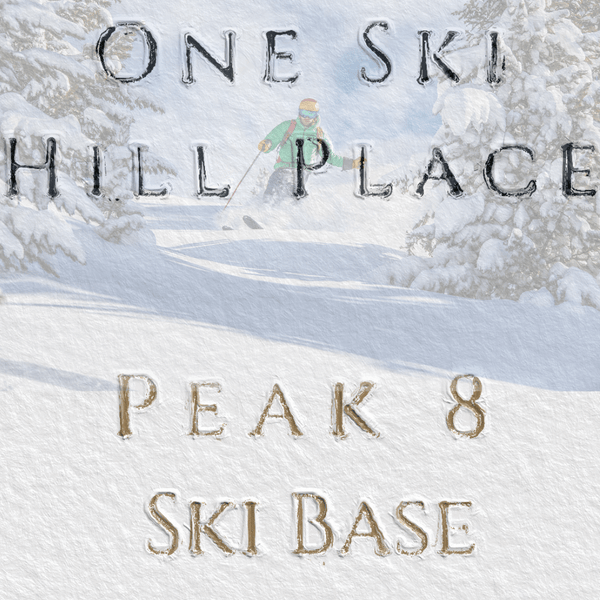 one-ski-hill-place-for-sale