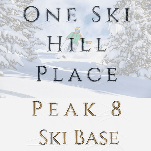 one ski hill place for sale