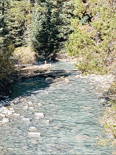 Snake River at Settlers Creek