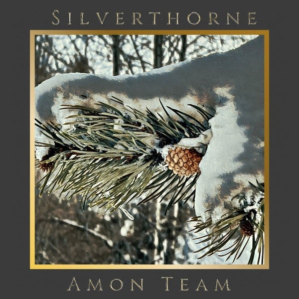 Silverthorne Colorado Winter Snow