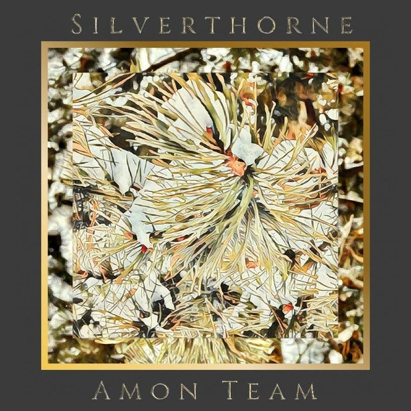 Silverthorne Colorado Real Estate