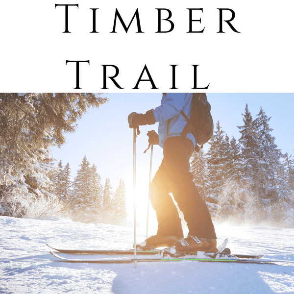 timber trail ski-in ski-out homes for sale breckenridge colorado
